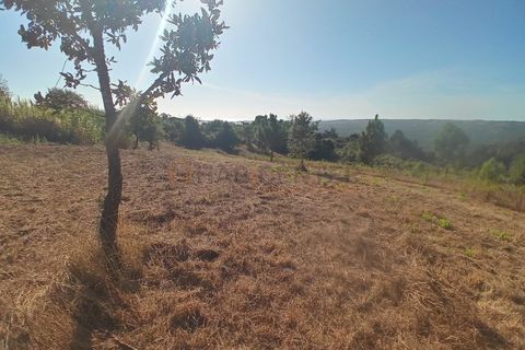 Helårsgrund i Nazare, Leiria, Nazare - € 30.000 | Ref: SÒL_45 - foto 16