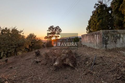 Helårsgrund i Arcos de Valdevez, Viana do Castelo, Arcos de Valdevez - € 50.000 | Ref: 2321 - foto 4