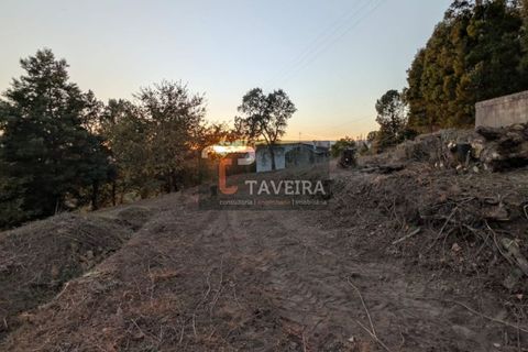 Helårsgrund i Arcos de Valdevez, Viana do Castelo, Arcos de Valdevez - € 50.000 | Ref: 2321 - foto 5
