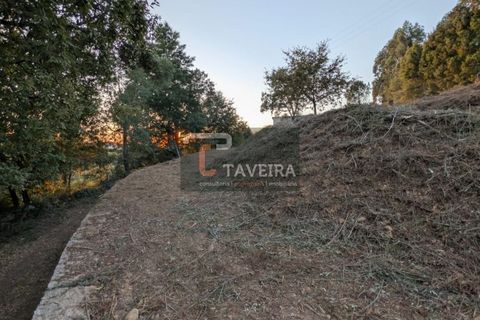 Helårsgrund i Arcos de Valdevez, Viana do Castelo, Arcos de Valdevez - € 50.000 | Ref: 2321 - foto 6