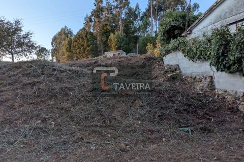 Helårsgrund i Arcos de Valdevez, Viana do Castelo, Arcos de Valdevez - € 50.000 | Ref: 2321 - foto 7