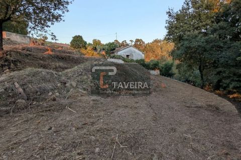 Helårsgrund i Arcos de Valdevez, Viana do Castelo, Arcos de Valdevez - € 50.000 | Ref: 2321 - foto 8