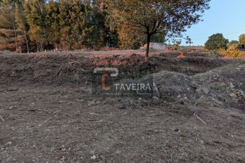 Helårsgrund i Arcos de Valdevez, Viana do Castelo, Arcos de Valdevez - € 50.000 | Ref: 2321 - foto 9