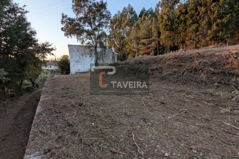 Helårsgrund i Arcos de Valdevez, Viana do Castelo, Arcos de Valdevez - € 50.000 | Ref: 2321 - foto 10