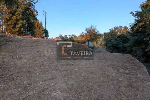 Helårsgrund i Arcos de Valdevez, Viana do Castelo, Arcos de Valdevez - € 50.000 | Ref: 2321 - foto 11