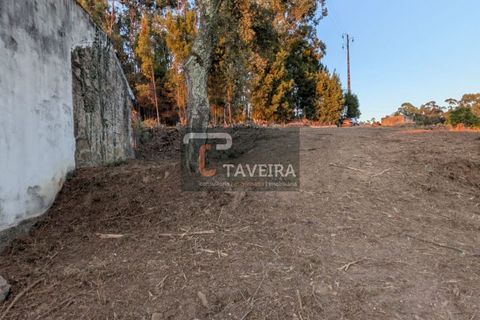 Helårsgrund i Arcos de Valdevez, Viana do Castelo, Arcos de Valdevez - € 50.000 | Ref: 2321 - foto 12