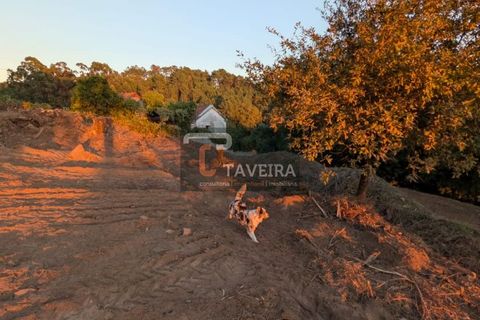 Helårsgrund i Arcos de Valdevez, Viana do Castelo, Arcos de Valdevez - € 50.000 | Ref: 2321 - foto 13