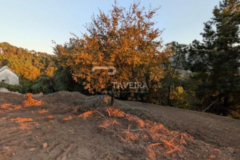 Helårsgrund i Arcos de Valdevez, Viana do Castelo, Arcos de Valdevez - € 50.000 | Ref: 2321 - foto 15