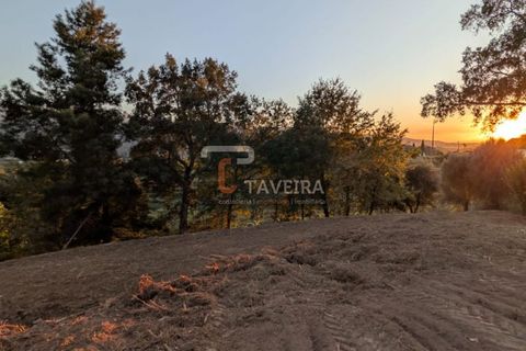 Helårsgrund i Arcos de Valdevez, Viana do Castelo, Arcos de Valdevez - € 50.000 | Ref: 2321 - foto 16