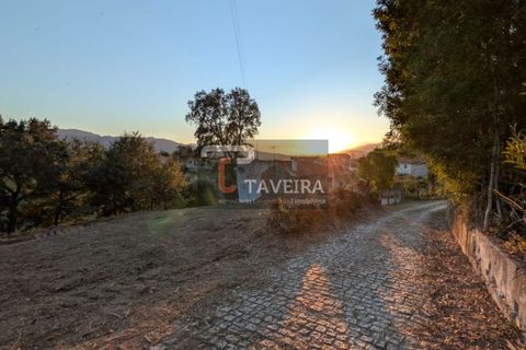 Helårsgrund i Arcos de Valdevez, Viana do Castelo, Arcos de Valdevez - € 50.000 | Ref: 2321 - foto 18