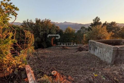 Helårsgrund i Arcos de Valdevez, Viana do Castelo, Arcos de Valdevez - € 50.000 | Ref: 2321 - foto 19