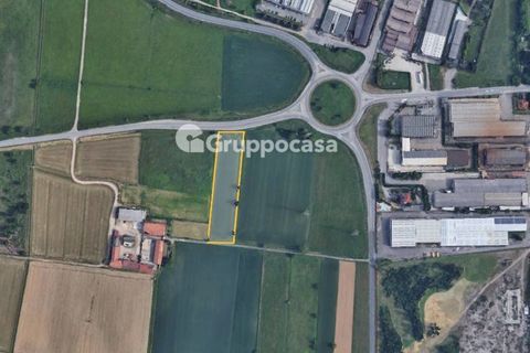 Terra a Mesero, Milan, Mesero - € 16.000 | Ref: Terreno agricolo via Valigio, Mesero - foto 6