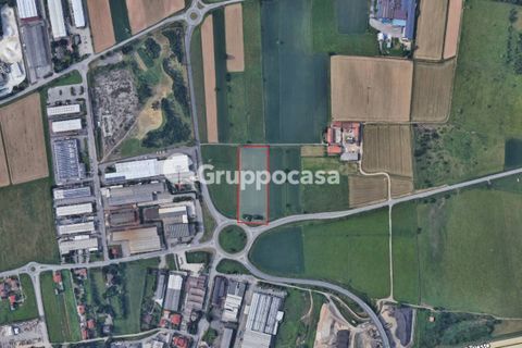 Terra a Mesero, Milan, Mesero - € 46.000 | Ref: Terreno agricolo Mesero via Valigio - foto 11