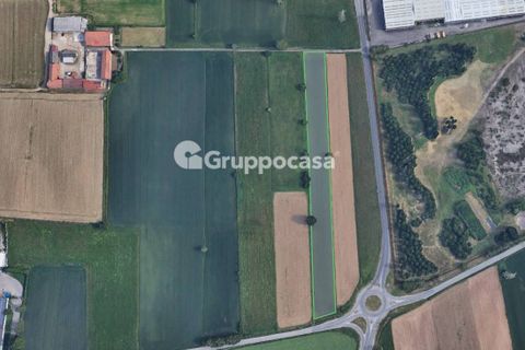 Helårsgrund i Mesero, Milan, Mesero - € 35.000 | Ref: Terreno agricolo Mesero Cascina Valigio - foto 12