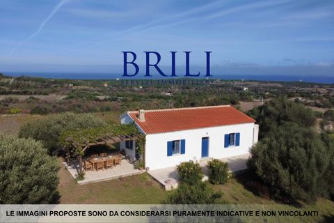 Landejendom i Aglientu, Sassari, Aglientu - € 1.600.000 | Ref: OT-004GS - foto 1