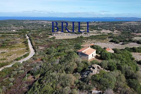 Landejendom i Aglientu, Sassari, Aglientu - € 1.600.000 | Ref: OT-004GS - foto 6