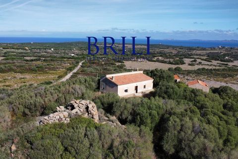 Landejendom i Aglientu, Sassari, Aglientu - € 1.600.000 | Ref: OT-004GS - foto 7