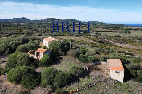 Landejendom i Aglientu, Sassari, Aglientu - € 1.600.000 | Ref: OT-004GS - foto 9