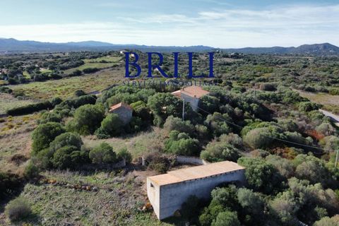 Landejendom i Aglientu, Sassari, Aglientu - € 1.600.000 | Ref: OT-004GS - foto 11