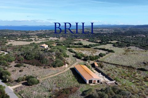 Landejendom i Aglientu, Sassari, Aglientu - € 1.600.000 | Ref: OT-004GS - foto 16