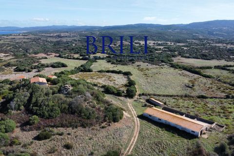 Landejendom i Aglientu, Sassari, Aglientu - € 1.600.000 | Ref: OT-004GS - foto 17