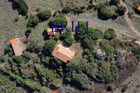 Landejendom i Aglientu, Sassari, Aglientu - € 1.600.000 | Ref: OT-004GS - foto 18