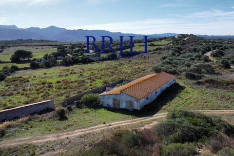 Landejendom i Aglientu, Sassari, Aglientu - € 1.600.000 | Ref: OT-004GS - foto 19