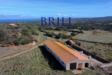 Landejendom i Aglientu, Sassari, Aglientu - € 1.600.000 | Ref: OT-004GS - foto 20