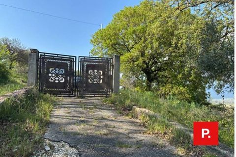 Villa a Ruviano, Caserta, Ruviano - € 250.000 | Ref: kA9325 - foto 42