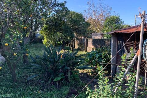 Villa i Ilhavo, Aveiro, Ilhavo - € 200.000 | Ref: KWPT-026096 - foto 3