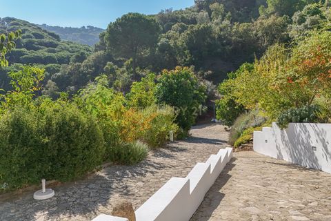 Farm hus i Palmela, Setubal, Palmela - € 1.570.000 | Ref: C0183-01336 - foto 47