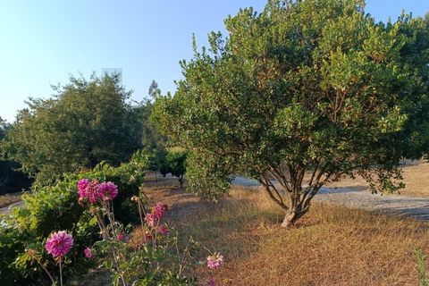 Granja a Agueda, Aveiro, Agueda - € 533.000 | Ref: KWPT-018888 - foto 41