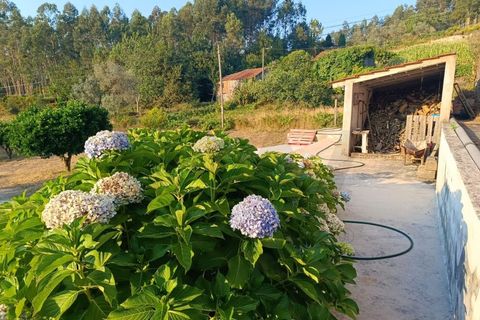 Granja a Agueda, Aveiro, Agueda - € 533.000 | Ref: KWPT-018888 - foto 42
