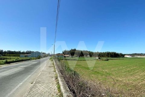 Helårsgrund i Ilhavo, Aveiro, Ilhavo - € 80.000 | Ref: 2198-1770 - foto 2