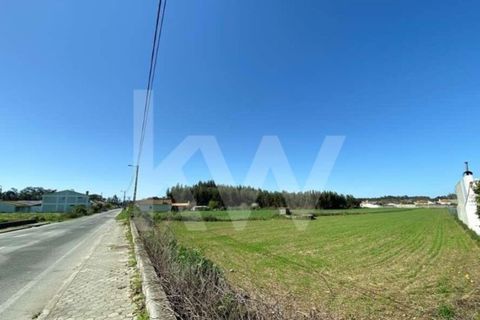 Helårsgrund i Ilhavo, Aveiro, Ilhavo - € 80.000 | Ref: 2198-1770 - foto 3