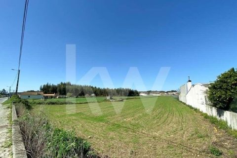 Helårsgrund i Ilhavo, Aveiro, Ilhavo - € 80.000 | Ref: 2198-1770 - foto 4