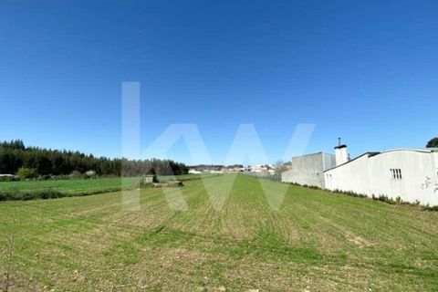 Helårsgrund i Ilhavo, Aveiro, Ilhavo - € 80.000 | Ref: 2198-1770 - foto 5
