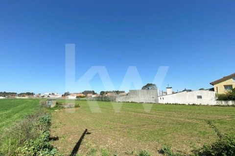Helårsgrund i Ilhavo, Aveiro, Ilhavo - € 80.000 | Ref: 2198-1770 - foto 6