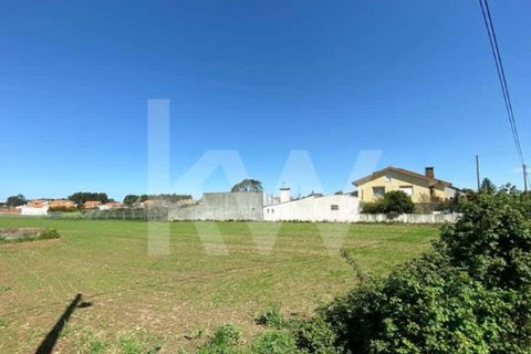 Helårsgrund i Ilhavo, Aveiro, Ilhavo - € 80.000 | Ref: 2198-1770 - foto 7