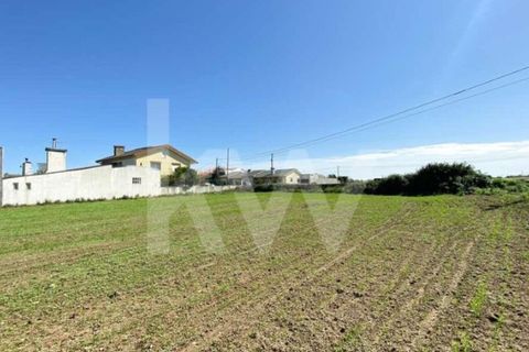 Helårsgrund i Ilhavo, Aveiro, Ilhavo - € 80.000 | Ref: 2198-1770 - foto 8