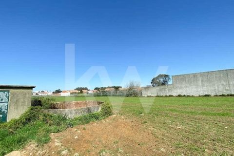 Helårsgrund i Ilhavo, Aveiro, Ilhavo - € 80.000 | Ref: 2198-1770 - foto 9