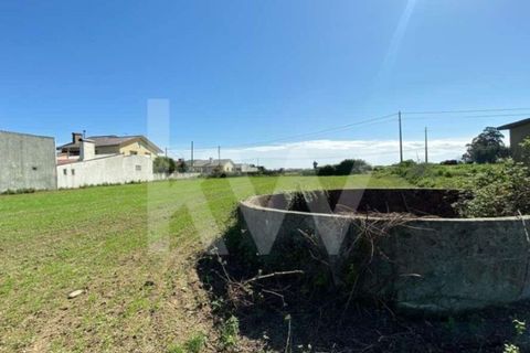 Helårsgrund i Ilhavo, Aveiro, Ilhavo - € 80.000 | Ref: 2198-1770 - foto 11