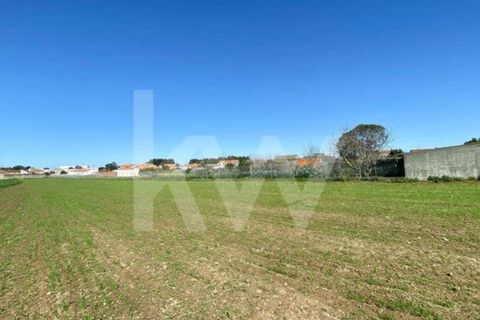 Helårsgrund i Ilhavo, Aveiro, Ilhavo - € 80.000 | Ref: 2198-1770 - foto 12