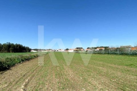 Helårsgrund i Ilhavo, Aveiro, Ilhavo - € 80.000 | Ref: 2198-1770 - foto 13