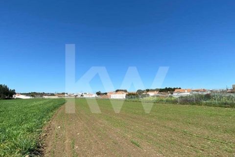 Helårsgrund i Ilhavo, Aveiro, Ilhavo - € 80.000 | Ref: 2198-1770 - foto 14