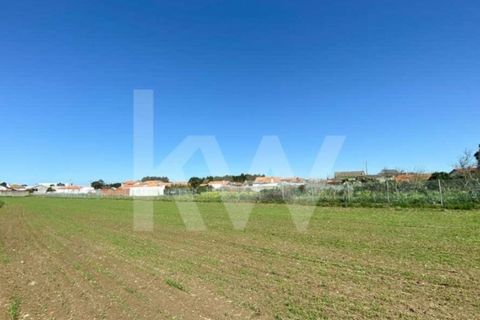 Helårsgrund i Ilhavo, Aveiro, Ilhavo - € 80.000 | Ref: 2198-1770 - foto 15