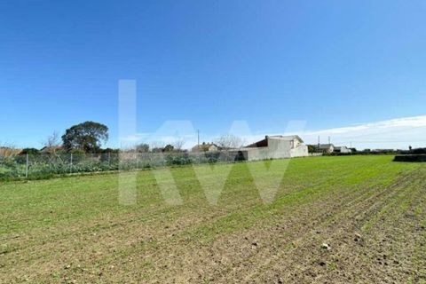 Helårsgrund i Ilhavo, Aveiro, Ilhavo - € 80.000 | Ref: 2198-1770 - foto 16