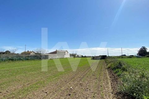 Helårsgrund i Ilhavo, Aveiro, Ilhavo - € 80.000 | Ref: 2198-1770 - foto 17