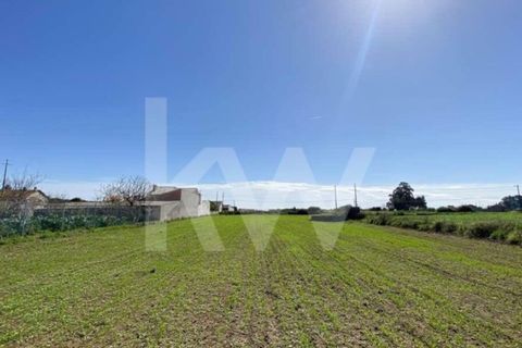 Helårsgrund i Ilhavo, Aveiro, Ilhavo - € 80.000 | Ref: 2198-1770 - foto 18