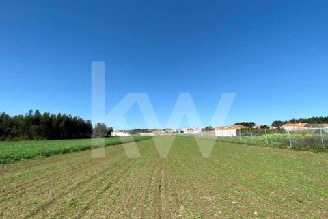 Helårsgrund i Ilhavo, Aveiro, Ilhavo - € 80.000 | Ref: 2198-1770 - foto 19